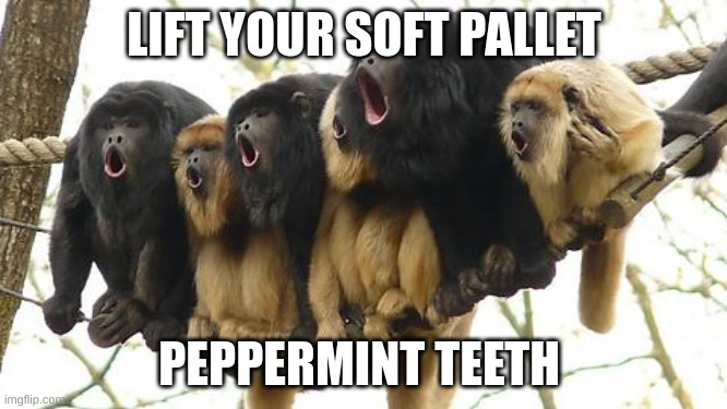 Monkey choir | LIFT YOUR SOFT PALLET; PEPPERMINT TEETH | image tagged in monkey choir | made w/ Imgflip meme maker