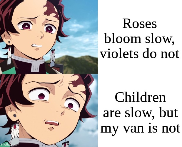 ʘ‿ʘ Laughs maniacally | Roses bloom slow, violets do not; Children are slow, but my van is not | image tagged in tanjiro disgusted to even more disgusted | made w/ Imgflip meme maker