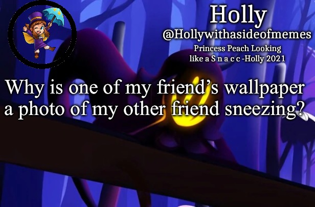 Holly Snatcher Template | Why is one of my friend’s wallpaper a photo of my other friend sneezing? | image tagged in holly snatcher template | made w/ Imgflip meme maker