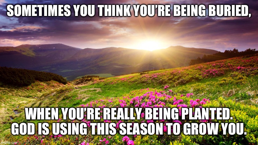 Field of Flowers | SOMETIMES YOU THINK YOU’RE BEING BURIED, WHEN YOU’RE REALLY BEING PLANTED. GOD IS USING THIS SEASON TO GROW YOU. | image tagged in field of flowers | made w/ Imgflip meme maker