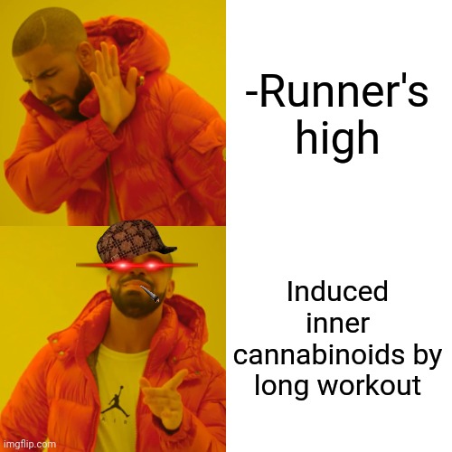 -Felt stoned by walk. | -Runner's high; Induced inner cannabinoids by long workout | image tagged in memes,drake hotline bling,running away balloon,workout excuses,smoke weed everyday,too damn high | made w/ Imgflip meme maker