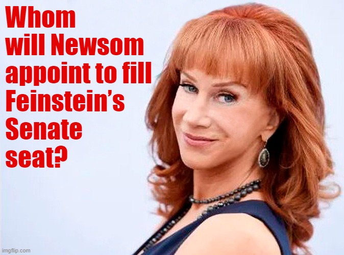 Let's stick it to the Republicans for trying to impeach Joe Biden! | Whom will Newsom 
appoint to fill
Feinstein’s
Senate
seat? | image tagged in kathy griffin,i am the senate | made w/ Imgflip meme maker