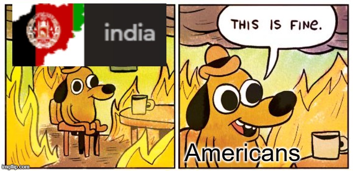 lol. | Americans | image tagged in memes,this is fine | made w/ Imgflip meme maker