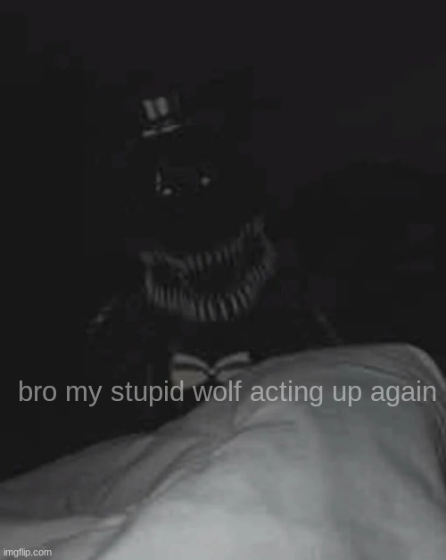title | bro my stupid wolf acting up again | image tagged in bro my _____ is acting weird,fnaf,fnaf 4,nightmare | made w/ Imgflip meme maker