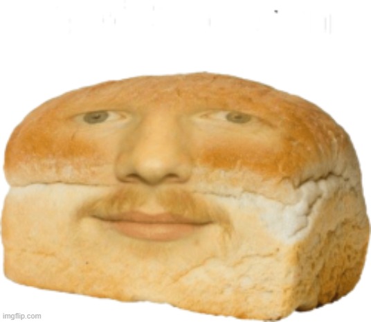 b r e d s h e e r a n i s r a p i d l y a p p r o a c h i n g u r l o c a t i o n. h i d e N O W ! ! | made w/ Imgflip meme maker