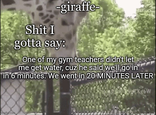 -giraffe- | One of my gym teachers didn't let me get water, cuz he said we'll go in in 6 minutes. We went in 20 MINUTES LATER | image tagged in -giraffe- | made w/ Imgflip meme maker