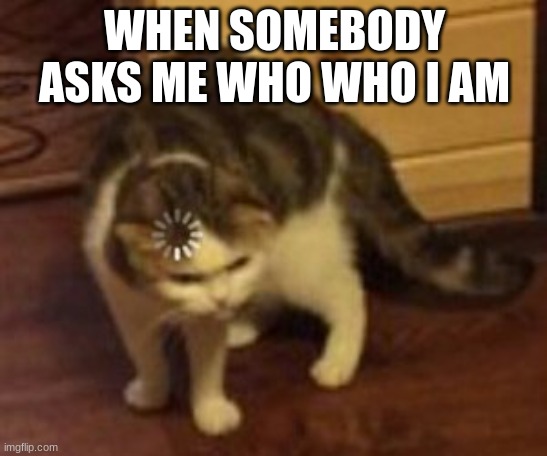 ERORR | WHEN SOMEBODY ASKS ME WHO WHO I AM | image tagged in loading cat | made w/ Imgflip meme maker