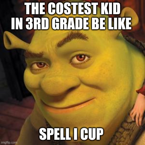 Shrek Sexy Face | THE COSTEST KID IN 3RD GRADE BE LIKE; SPELL I CUP | image tagged in shrek sexy face | made w/ Imgflip meme maker