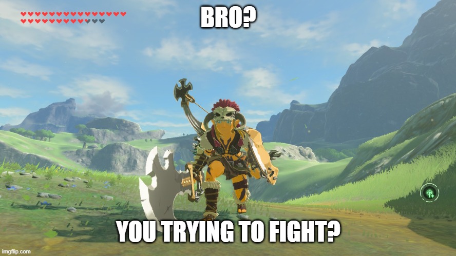 link to fight! | BRO? YOU TRYING TO FIGHT? | image tagged in the legend of zelda | made w/ Imgflip meme maker