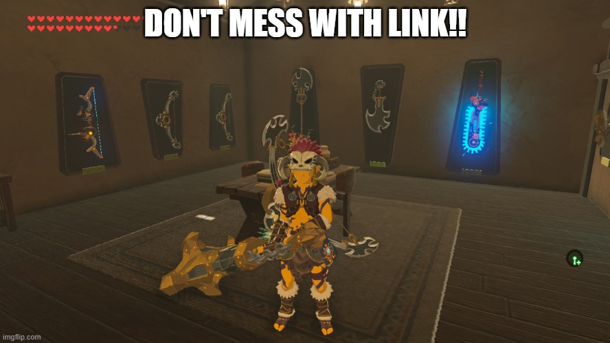 don't mess with link!! | DON'T MESS WITH LINK!! | image tagged in the legend of zelda breath of the wild | made w/ Imgflip meme maker