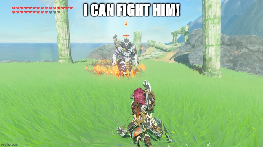 can i beat him? | I CAN FIGHT HIM! | image tagged in the legend of zelda breath of the wild | made w/ Imgflip meme maker