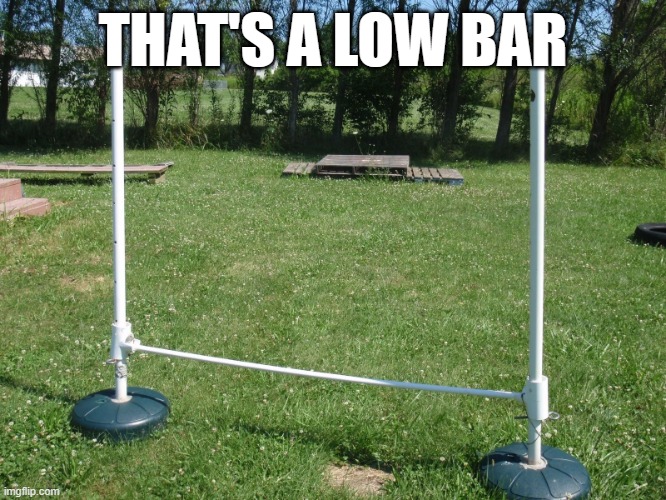 Really low bar | THAT'S A LOW BAR | image tagged in really low bar | made w/ Imgflip meme maker
