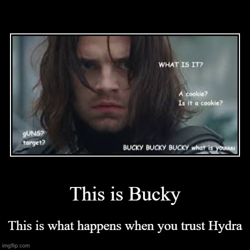 This is Bucky | This is what happens when you trust Hydra | image tagged in funny,demotivationals | made w/ Imgflip demotivational maker