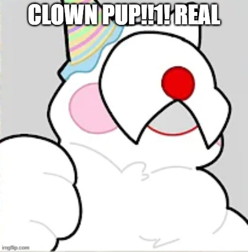 clown pup!! | CLOWN PUP!!1! REAL | image tagged in clown pup | made w/ Imgflip meme maker