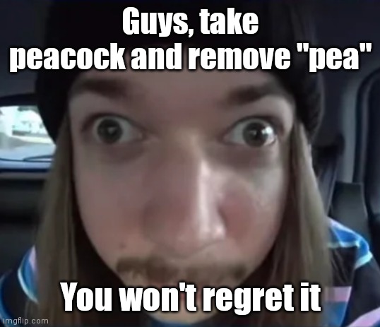 Troll | Guys, take peacock and remove "pea"; You won't regret it | image tagged in jimmyhere goofy ass | made w/ Imgflip meme maker