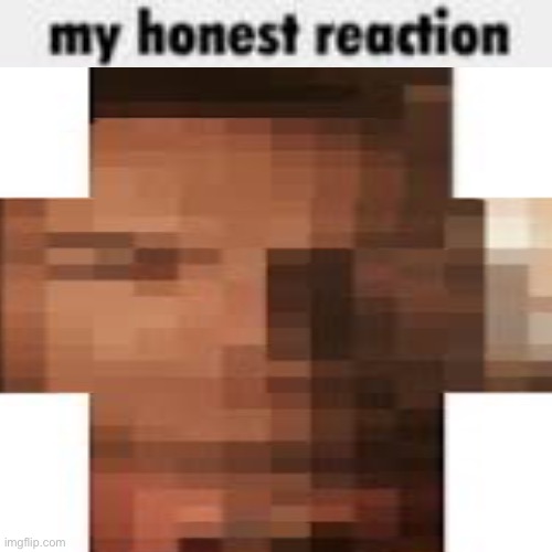 My Honest Reaction | image tagged in my honest reaction | made w/ Imgflip meme maker