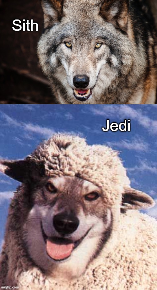 Sith and Jedi | Sith; Jedi | image tagged in wolf in sheep's clothing,star wars | made w/ Imgflip meme maker