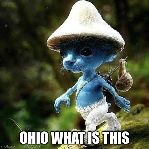 SO COOL | OHIO WHAT IS THIS | image tagged in we live we love we lie | made w/ Imgflip meme maker
