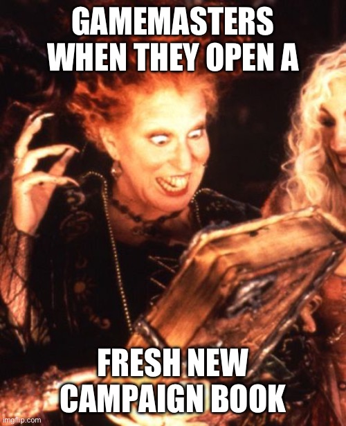 New campaign book | GAMEMASTERS WHEN THEY OPEN A; FRESH NEW CAMPAIGN BOOK | image tagged in winifred book,ttrpg,rpg,games,dm,gm | made w/ Imgflip meme maker