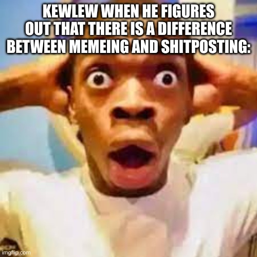 FR ONG?!?!? | KEWLEW WHEN HE FIGURES OUT THAT THERE IS A DIFFERENCE BETWEEN MEMEING AND SHITPOSTING: | image tagged in fr ong | made w/ Imgflip meme maker