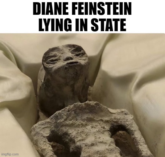 DIANE FEINSTEIN
LYING IN STATE | image tagged in diane feinstein,alien,mexican alien | made w/ Imgflip meme maker