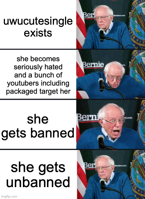 disappointment | uwucutesingle exists; she becomes seriously hated and a bunch of youtubers including packaged target her; she gets banned; she gets unbanned | image tagged in bernie reaction bad good good bad,bernie,uwucutesingle,slander,funny,memes | made w/ Imgflip meme maker