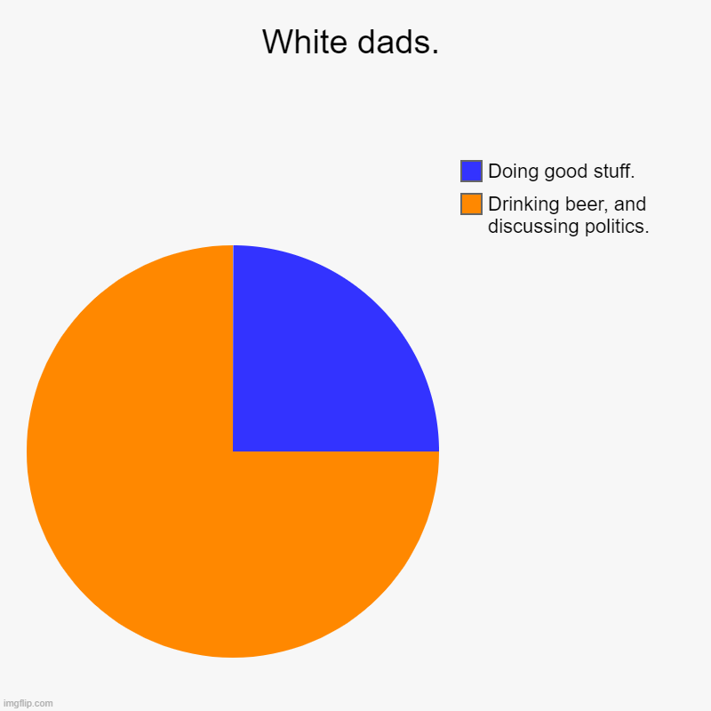 White dads. | Drinking beer, and discussing politics., Doing good stuff. | image tagged in charts,pie charts | made w/ Imgflip chart maker