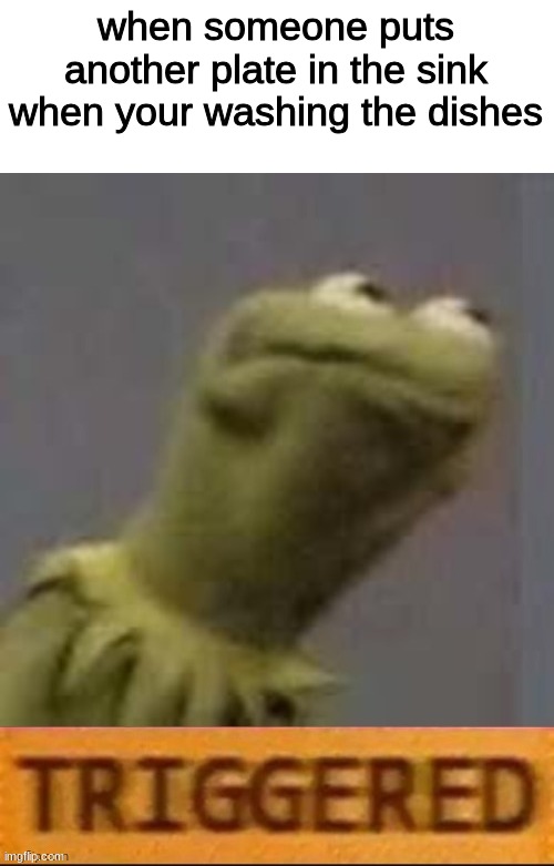 reeeeeee | when someone puts another plate in the sink when your washing the dishes | image tagged in kermit triggered,meme | made w/ Imgflip meme maker
