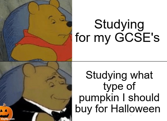 Priorities | Studying for my GCSE's; Studying what type of pumpkin I should buy for Halloween | image tagged in memes,tuxedo winnie the pooh,unfunny | made w/ Imgflip meme maker