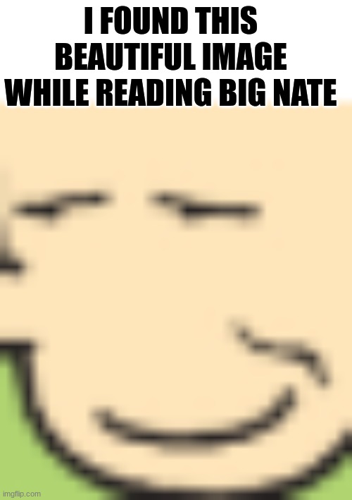 I FOUND THIS BEAUTIFUL IMAGE WHILE READING BIG NATE | made w/ Imgflip meme maker