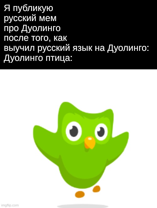 Я публикую русский мем про Дуолинго после того, как выучил русский язык на Дуолинго:

Дуолинго птица: | made w/ Imgflip meme maker