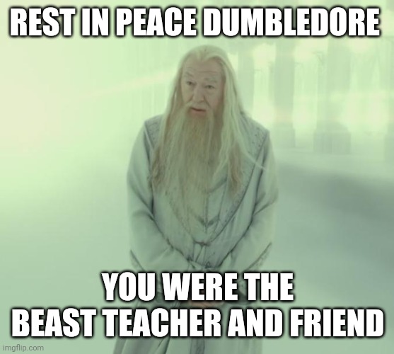 Rest in peace Dumbledore | REST IN PEACE DUMBLEDORE; YOU WERE THE BEAST TEACHER AND FRIEND | image tagged in dumbledore's spirit | made w/ Imgflip meme maker