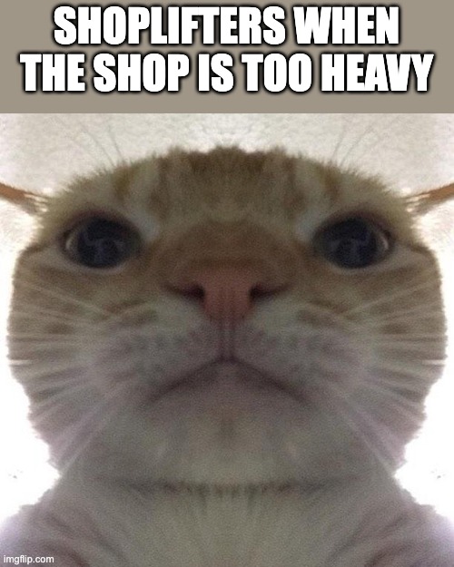 They picked the wrong profession... should've been a body builder first | SHOPLIFTERS WHEN THE SHOP IS TOO HEAVY | image tagged in staring cat/gusic | made w/ Imgflip meme maker