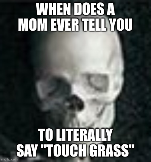Skull | WHEN DOES A MOM EVER TELL YOU TO LITERALLY SAY "TOUCH GRASS" | image tagged in skull | made w/ Imgflip meme maker