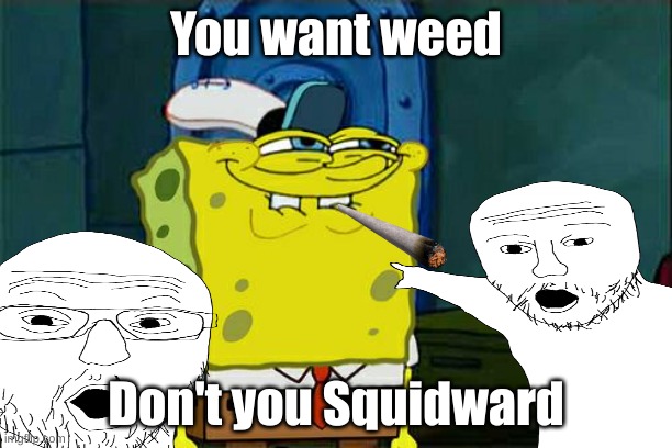 SpongeBob is gonna outsmoke Dr. Snoop | You want weed; Don't you Squidward | image tagged in memes,don't you squidward,weed,spongebob,smoking | made w/ Imgflip meme maker