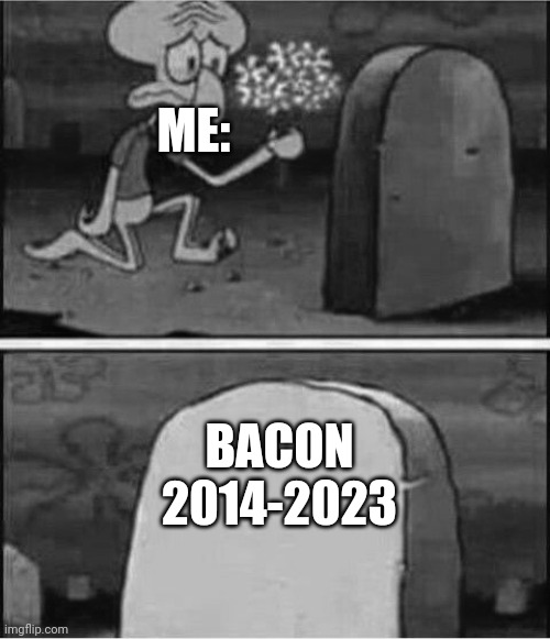 Rip to somebody | ME: BACON

2014-2023 | image tagged in rip to somebody | made w/ Imgflip meme maker