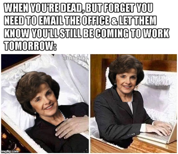Roast in Hell Tyrant | image tagged in memes,feinstein,new,funny,government,gun grabber | made w/ Imgflip meme maker