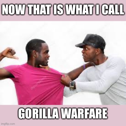 The most racist, sexist, homophobic person you ever meet | NOW THAT IS WHAT I CALL; GORILLA WARFARE | image tagged in offensive,gorilla,black,racist | made w/ Imgflip meme maker