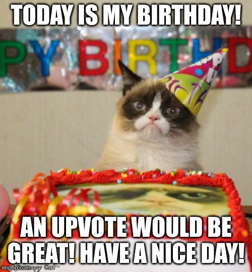 HAPPY BIRTHDAY TO ANYONE THAT TODAY IS THERE BIRTHDAY!! | TODAY IS MY BIRTHDAY! AN UPVOTE WOULD BE GREAT! HAVE A NICE DAY! | image tagged in memes,grumpy cat birthday,grumpy cat | made w/ Imgflip meme maker