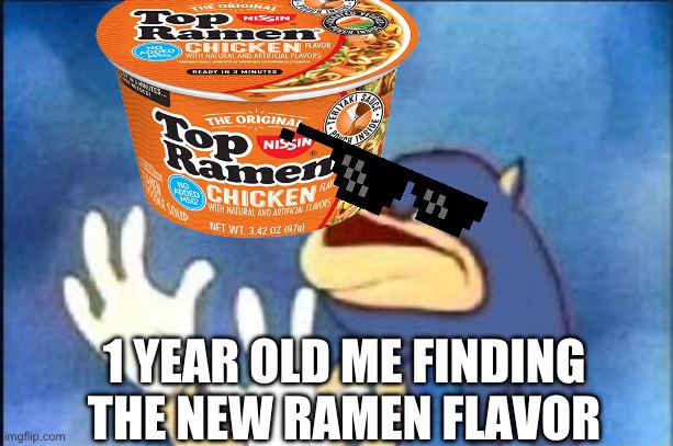 Sonic derp | 1 YEAR OLD ME FINDING THE NEW RAMEN FLAVOR | image tagged in sonic derp | made w/ Imgflip meme maker