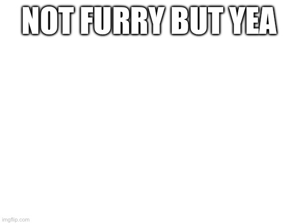 NOT FURRY BUT YEA | made w/ Imgflip meme maker