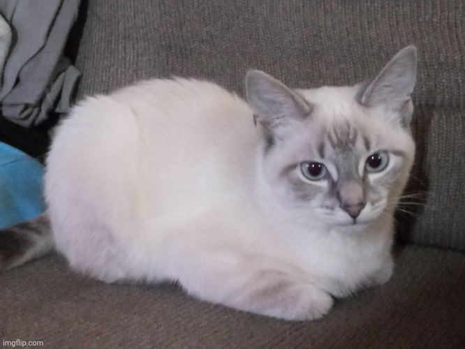 Loaf.mp3 | made w/ Imgflip meme maker