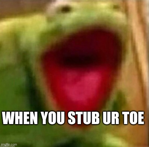 aaaaaaaaaaaaaefowefiueferfaergsergghtrsh | WHEN YOU STUB UR TOE | image tagged in kermit yell | made w/ Imgflip meme maker