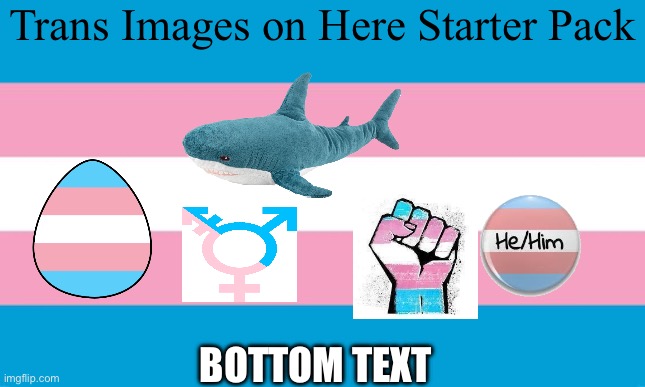 Transgender Images I found starter pack | Trans Images on Here Starter Pack; BOTTOM TEXT | image tagged in transgender flag | made w/ Imgflip meme maker