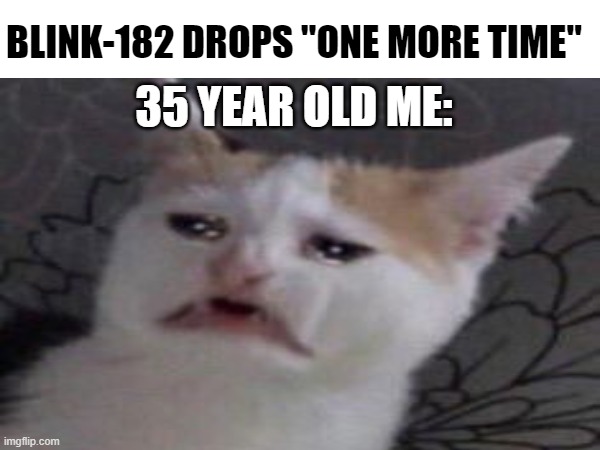 ONE MORE TIME | BLINK-182 DROPS "ONE MORE TIME"; 35 YEAR OLD ME: | image tagged in funny,music,blink | made w/ Imgflip meme maker