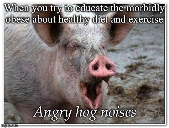Obese people be like | When you try to educate the morbidly obese about healthy diet and exercise; Angry hog noises | image tagged in pig,fat,obese,obesity,angry | made w/ Imgflip meme maker