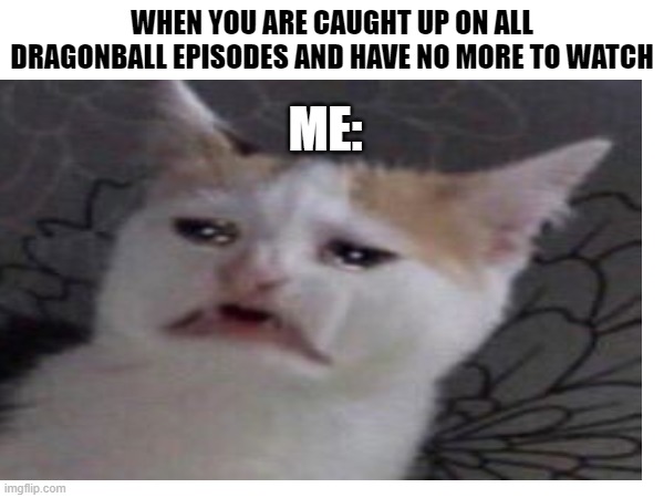 NO MORE | WHEN YOU ARE CAUGHT UP ON ALL DRAGONBALL EPISODES AND HAVE NO MORE TO WATCH; ME: | image tagged in dragon ball,funny,memes | made w/ Imgflip meme maker