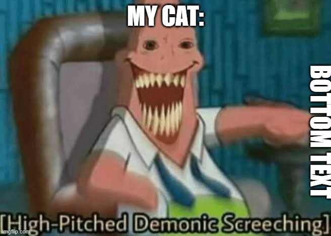 High-Pitched Demonic Screeching | MY CAT: BOTTOM TEXT | image tagged in high-pitched demonic screeching | made w/ Imgflip meme maker
