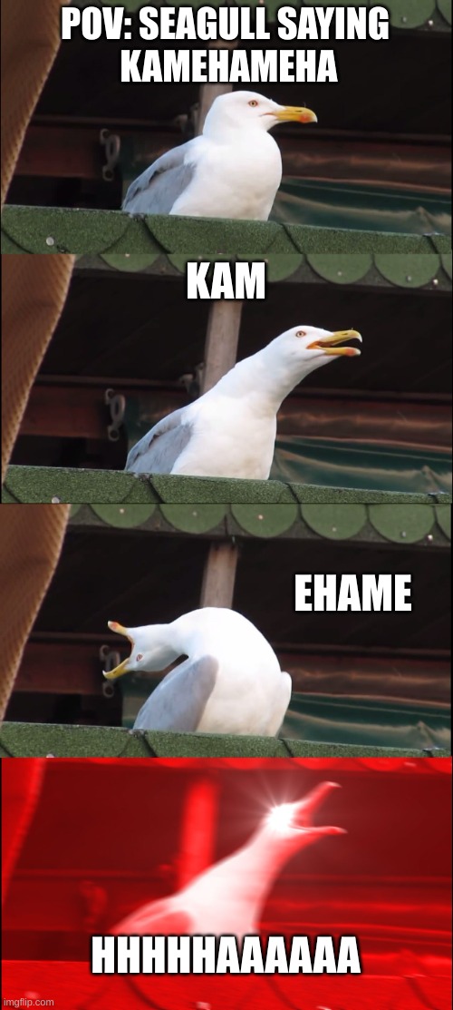 Inhaling Seagull | POV: SEAGULL SAYING
 KAMEHAMEHA; KAM; EHAME; HHHHHAAAAAA | image tagged in memes,inhaling seagull | made w/ Imgflip meme maker