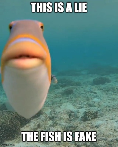 staring fish | THIS IS A LIE THE FISH IS FAKE | image tagged in staring fish | made w/ Imgflip meme maker